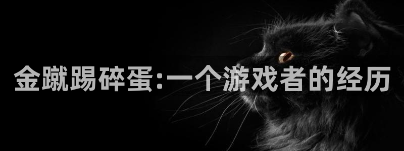 酷漫屋免费漫画官网：金蹴踢碎蛋:一个游戏者的经历