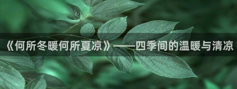 酷漫屋电影在线播放