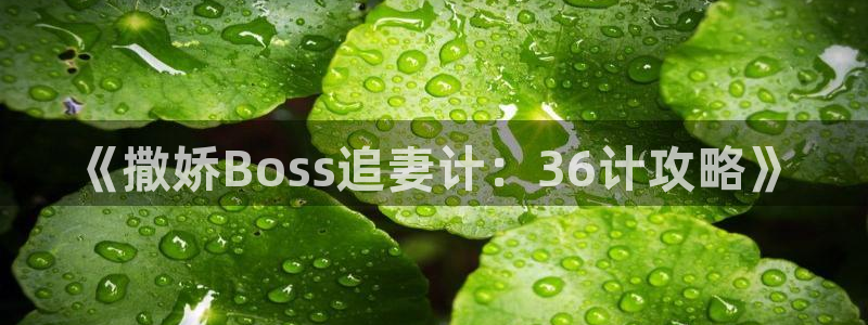 酷漫屋app下载：《撒娇Boss追妻计：36计攻略》