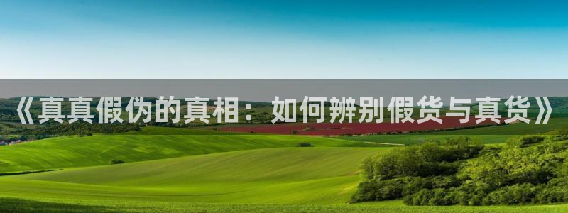 酷漫屋官网：《真真假伪的真相：如何辨别假货与真货》